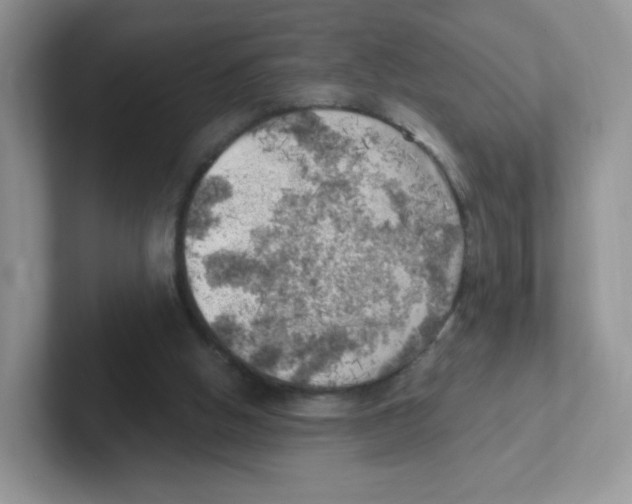 X0000101650058200808071124