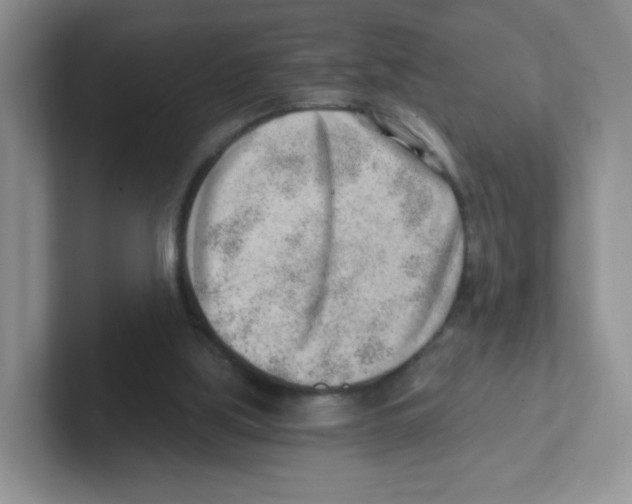 X0000101650059200808071124