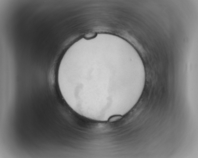 X0000101650060200808071124