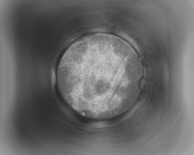 X0000101650061200808071124