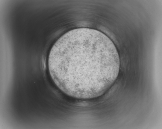 X0000101650062200808071124