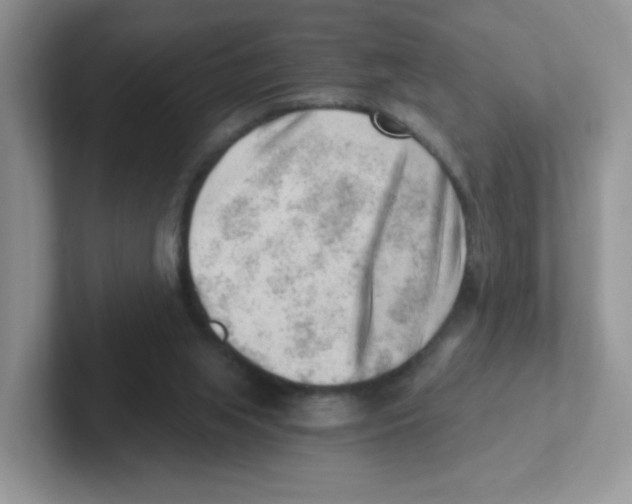 X0000101650063200808071124
