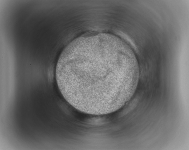 X0000101650065200808071124