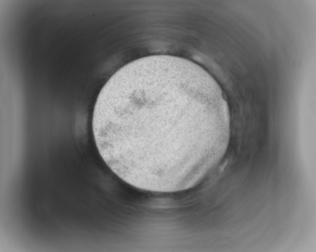 X0000101650066200808071124