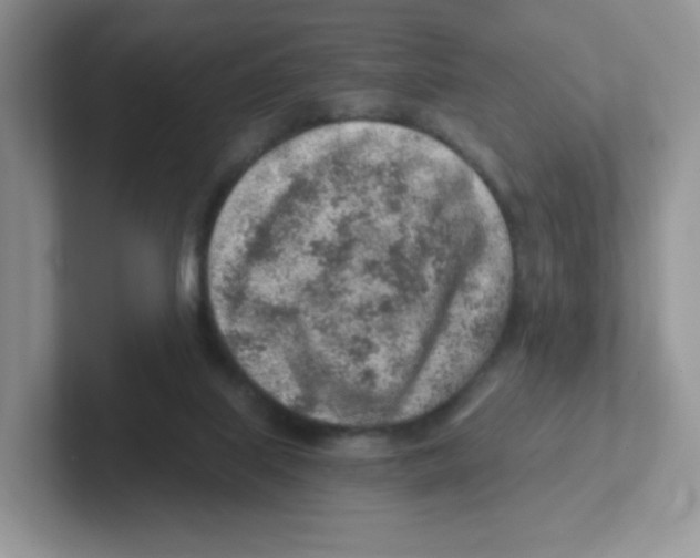 X0000101650067200808071124