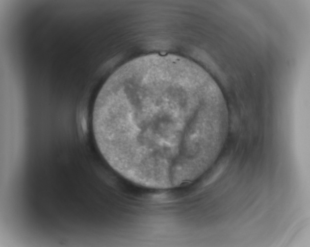 X0000101650068200808071124