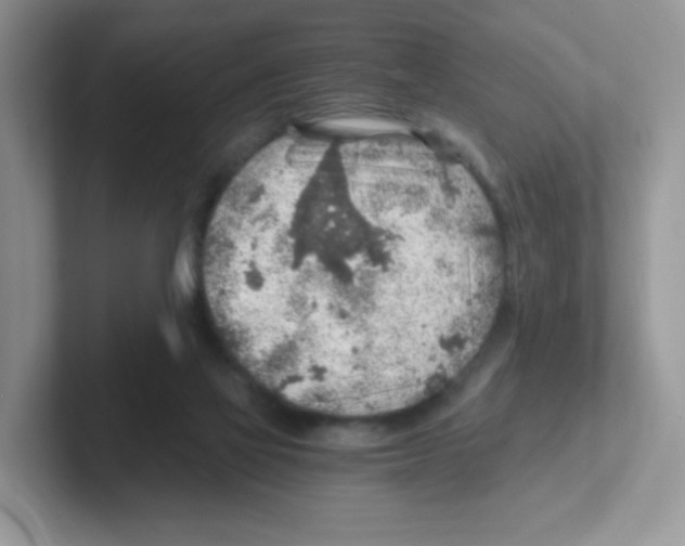 X0000101650069200808071124