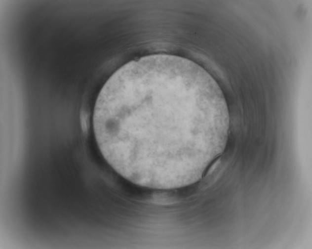 X0000101650070200808071124