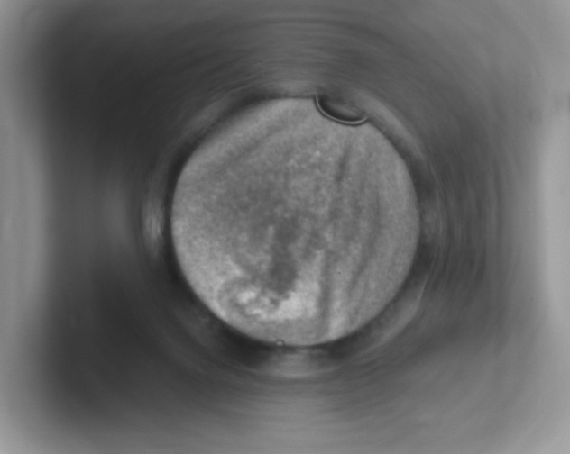 X0000101650072200808071124