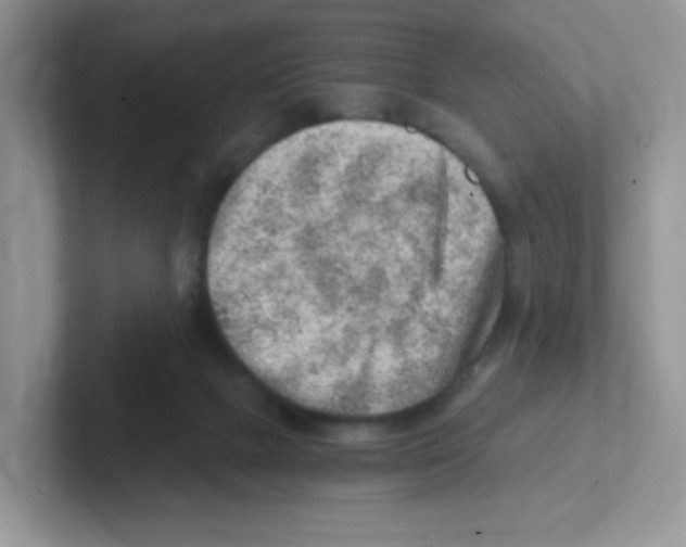 X0000101650073200808071124