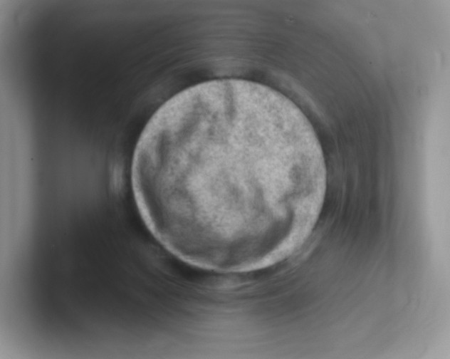 X0000101650074200808071124