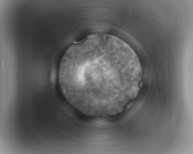 X0000101650076200808071124