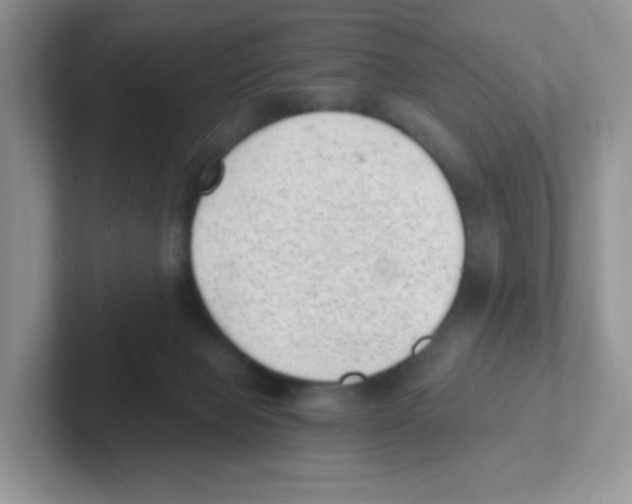X0000101650077200808071124