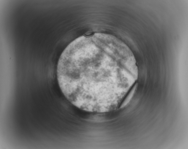 X0000101650078200808071124