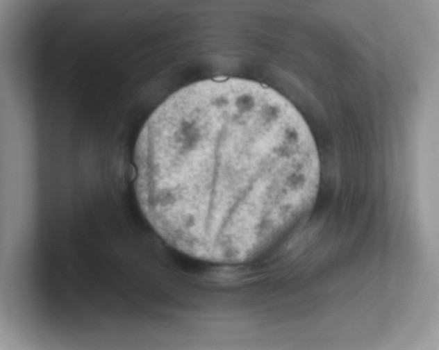 X0000101650082200808071124