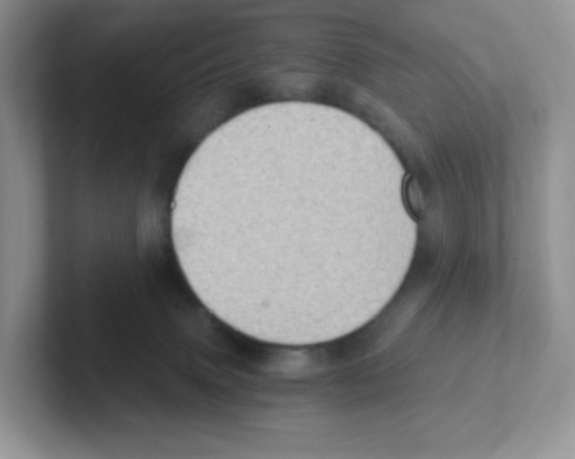 X0000101650083200808071124