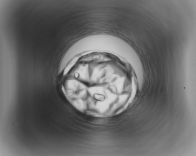 X0000101650084200808071124