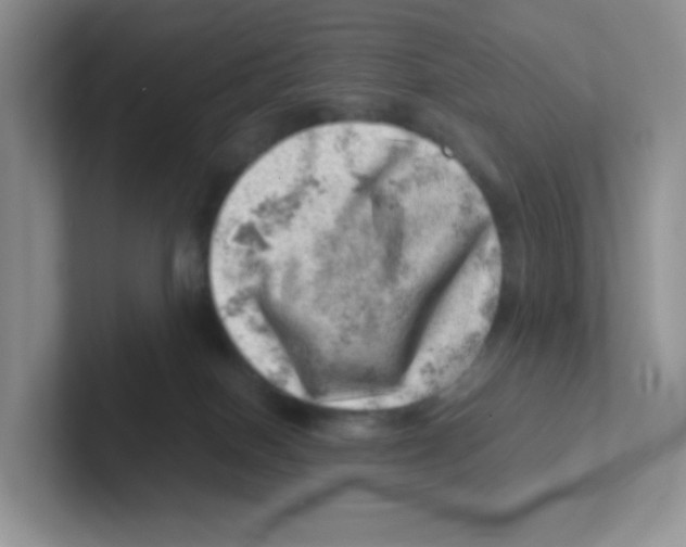X0000101650086200808071124