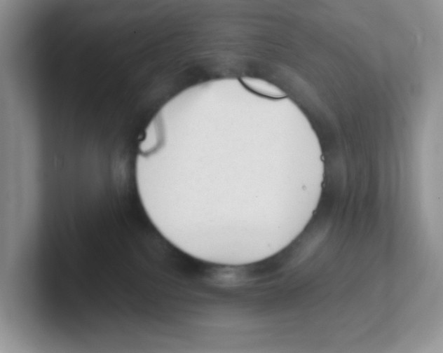 X0000101650088200808071124