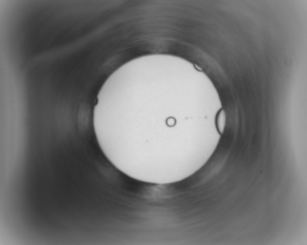 X0000101650092200808071124