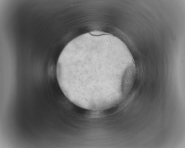 X0000101650093200808071124