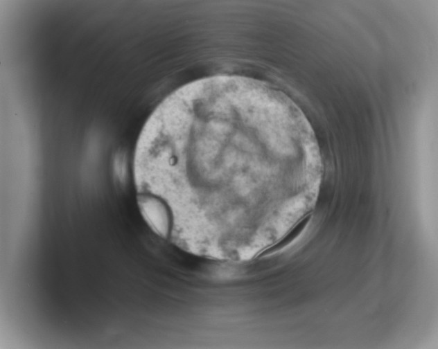 X0000101650094200808071124