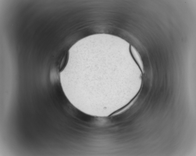 X0000101650095200808071124