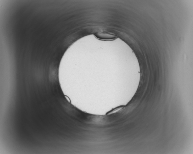 X0000101650096200808071124