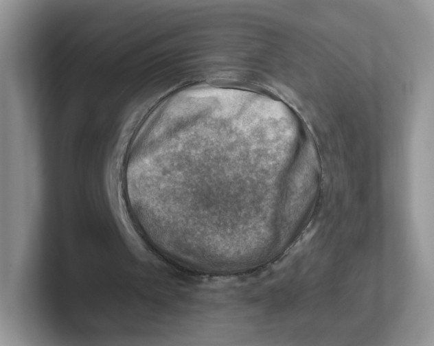X0000101650097200808071124