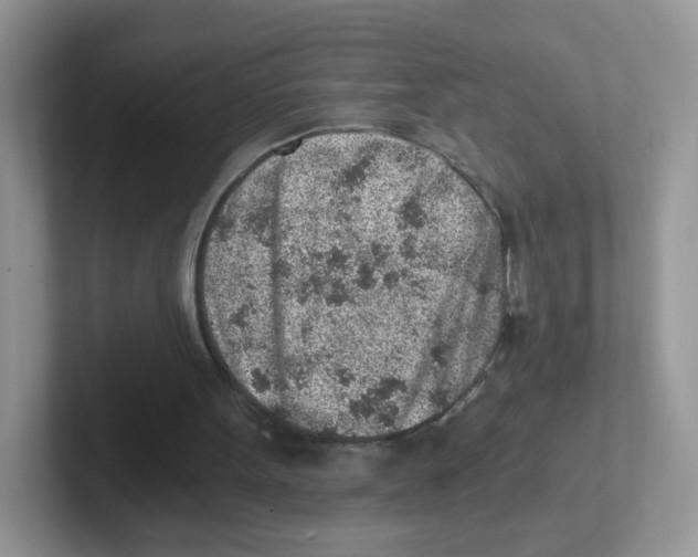 X0000101650099200808071124