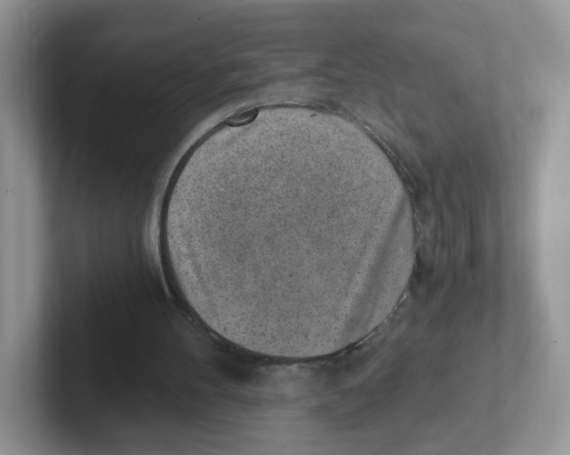 X0000101650100200808071124