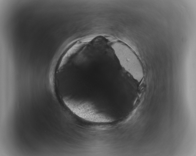 X0000101650103200808071123