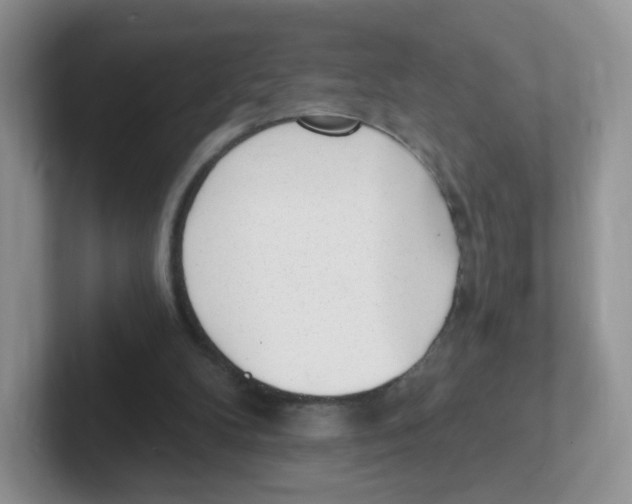 X0000101650104200808071123