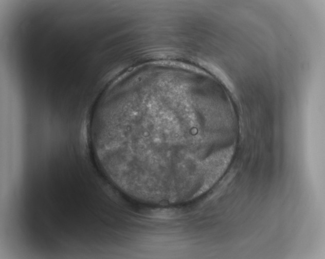 X0000101650105200808071123