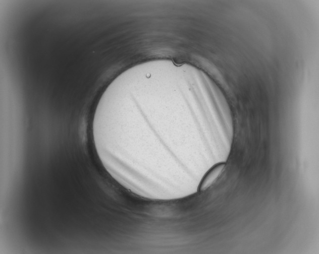 X0000101650106200808071123