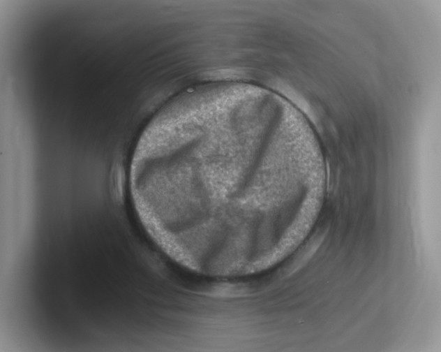 X0000101650109200808071123