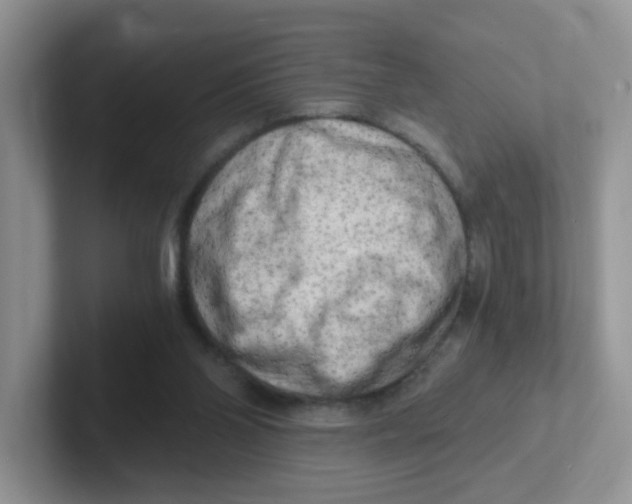 X0000101650110200808071123