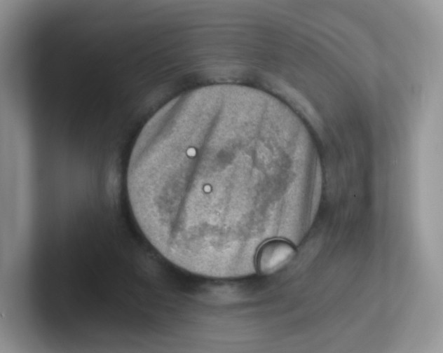 X0000101650113200808071123