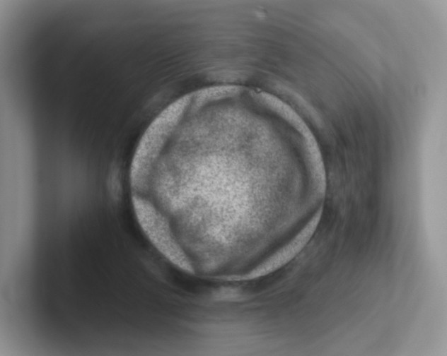 X0000101650114200808071123