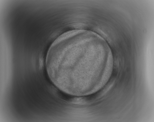 X0000101650117200808071123