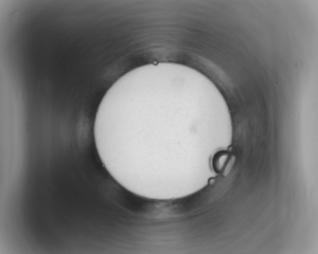 X0000101650121200808071123