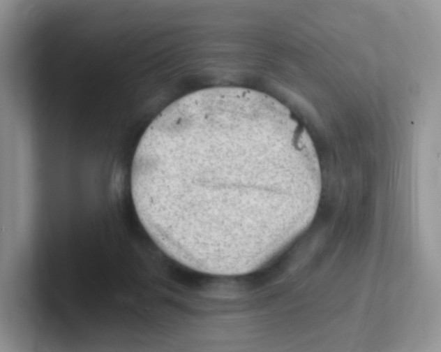 X0000101650123200808071123