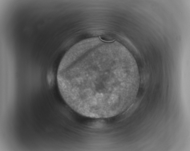 X0000101650124200808071123
