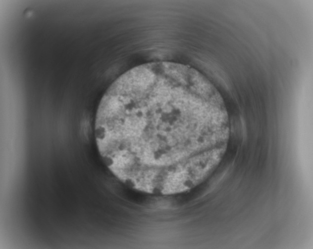 X0000101650127200808071123