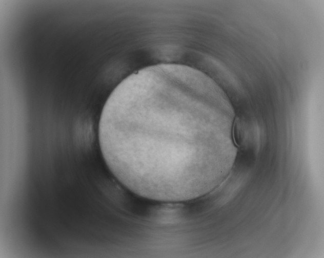 X0000101650128200808071123