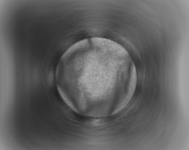 X0000101650130200808071123