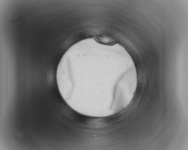X0000101650132200808071123