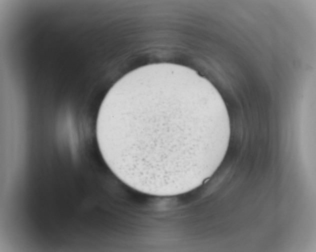 X0000101650135200808071123