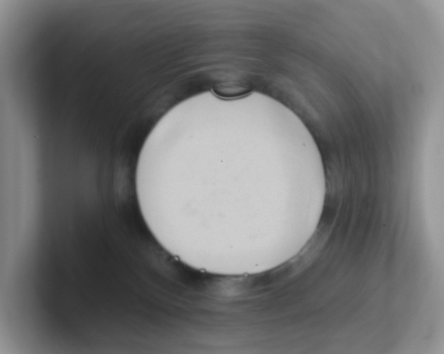 X0000101650136200808071123