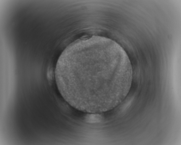 X0000101650137200808071123